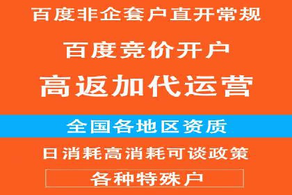 行业案例研究：SEM竞价托管的策略与挑战